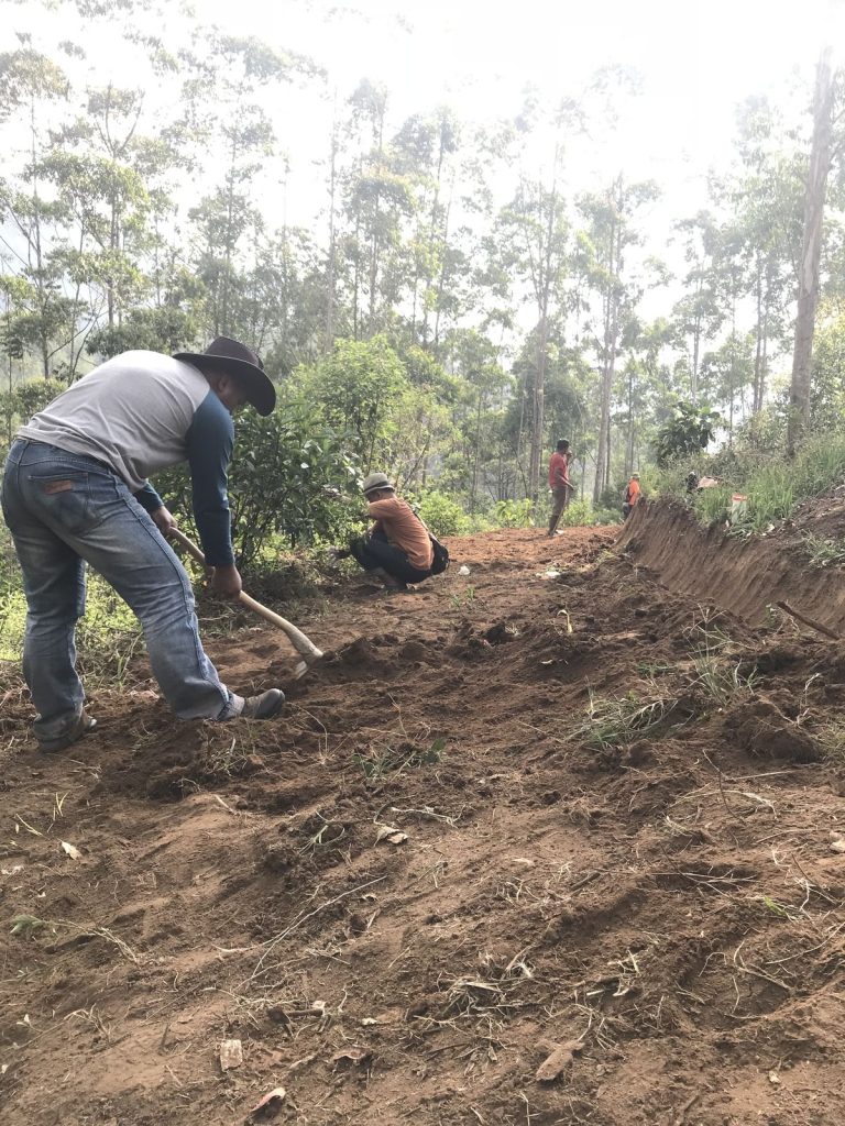 4e996ecfad1eaed1cea1dbbe6f068db0